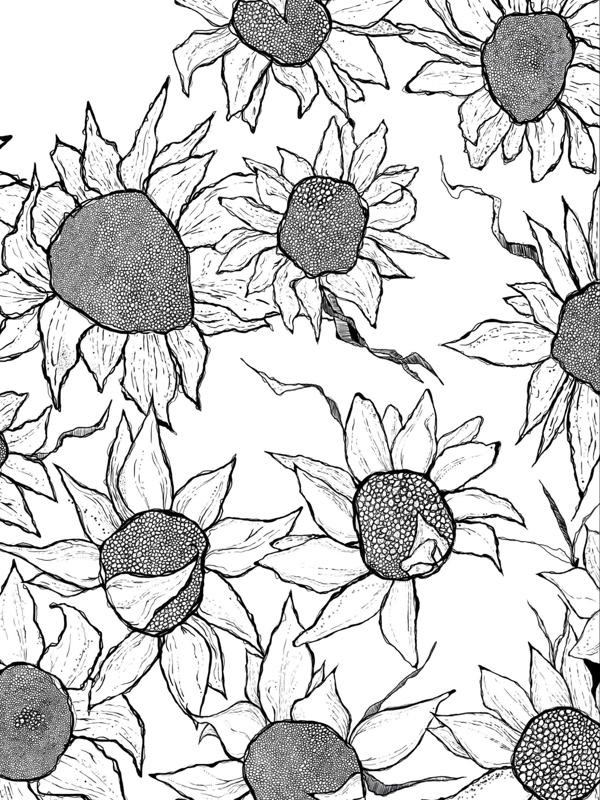 Shania Sweeney O’Rourke