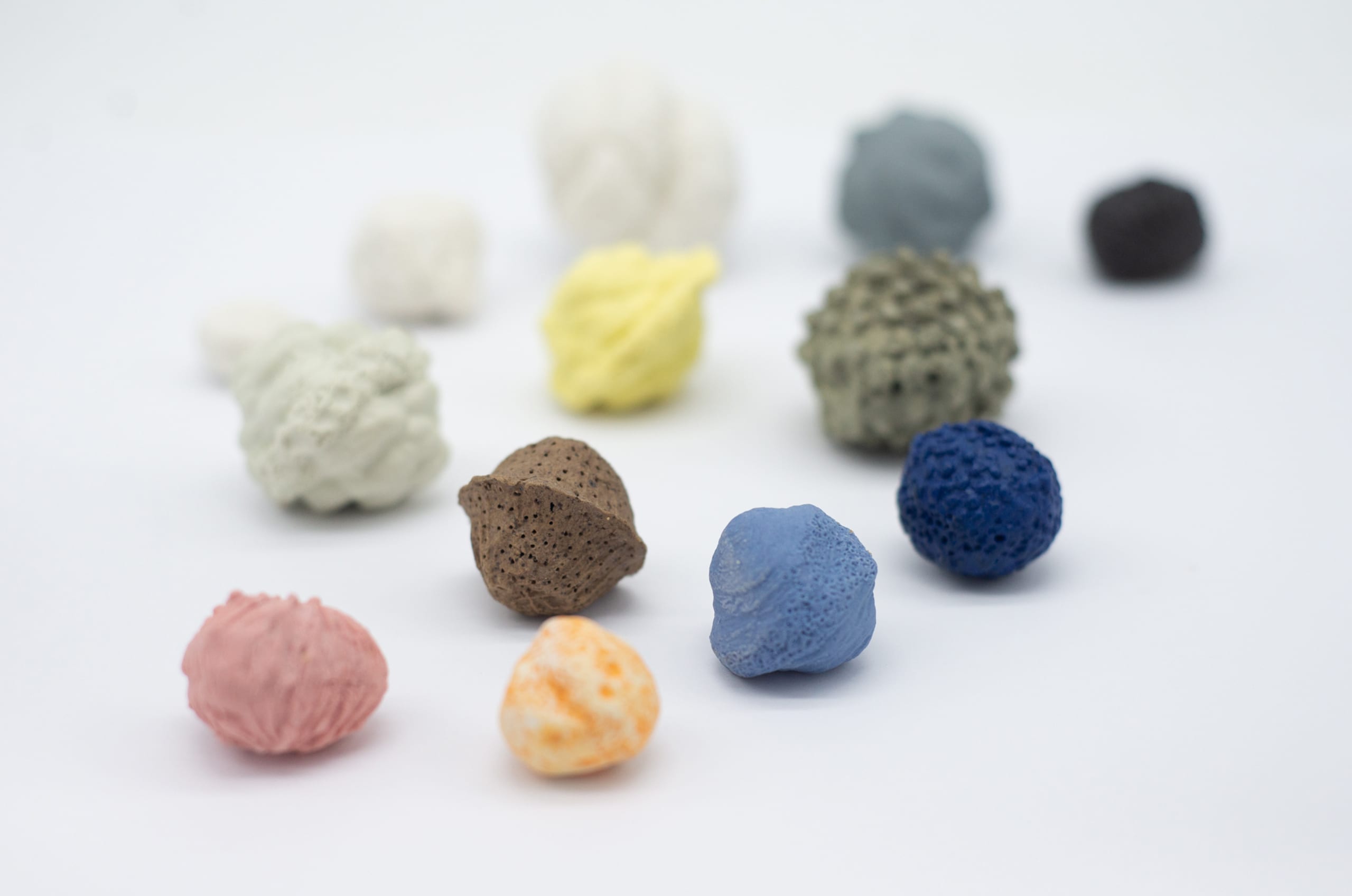 Catherina O Donoghue