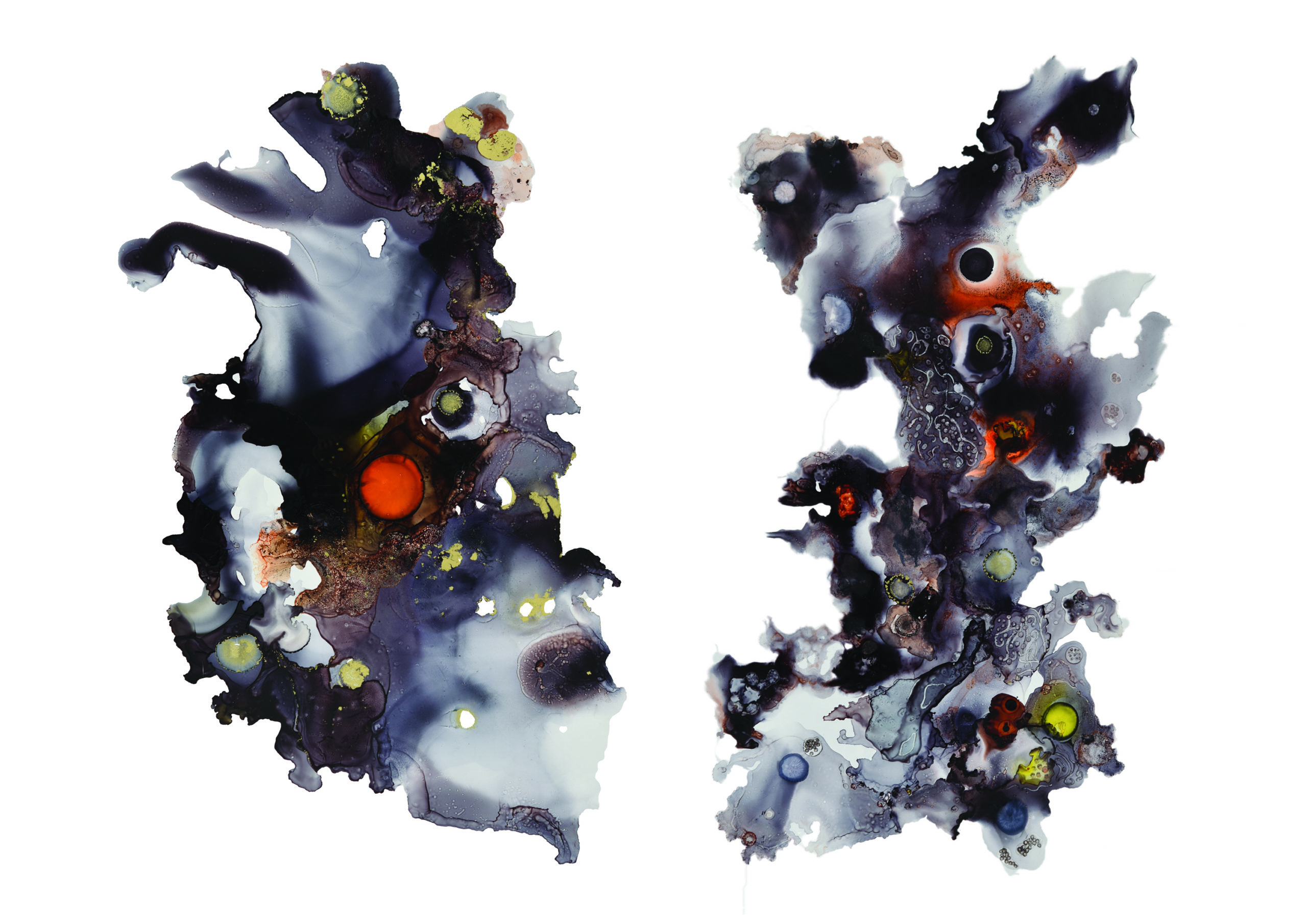 Victoria Brazhnikova