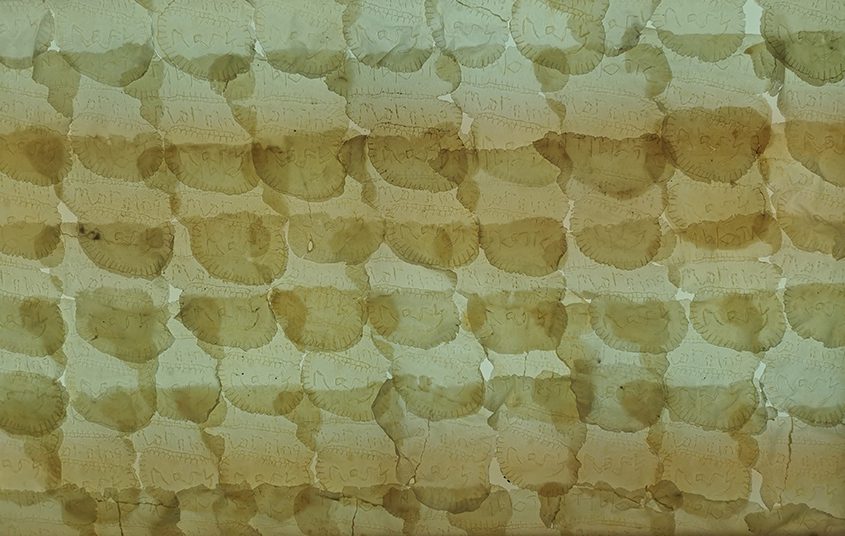 Francesca Hutchinson