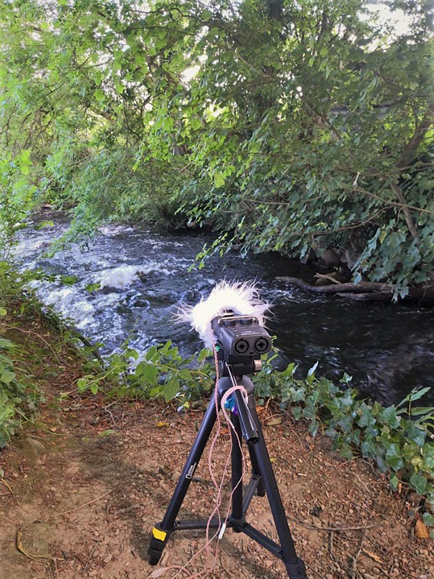 Katiane Ramos Kiyota