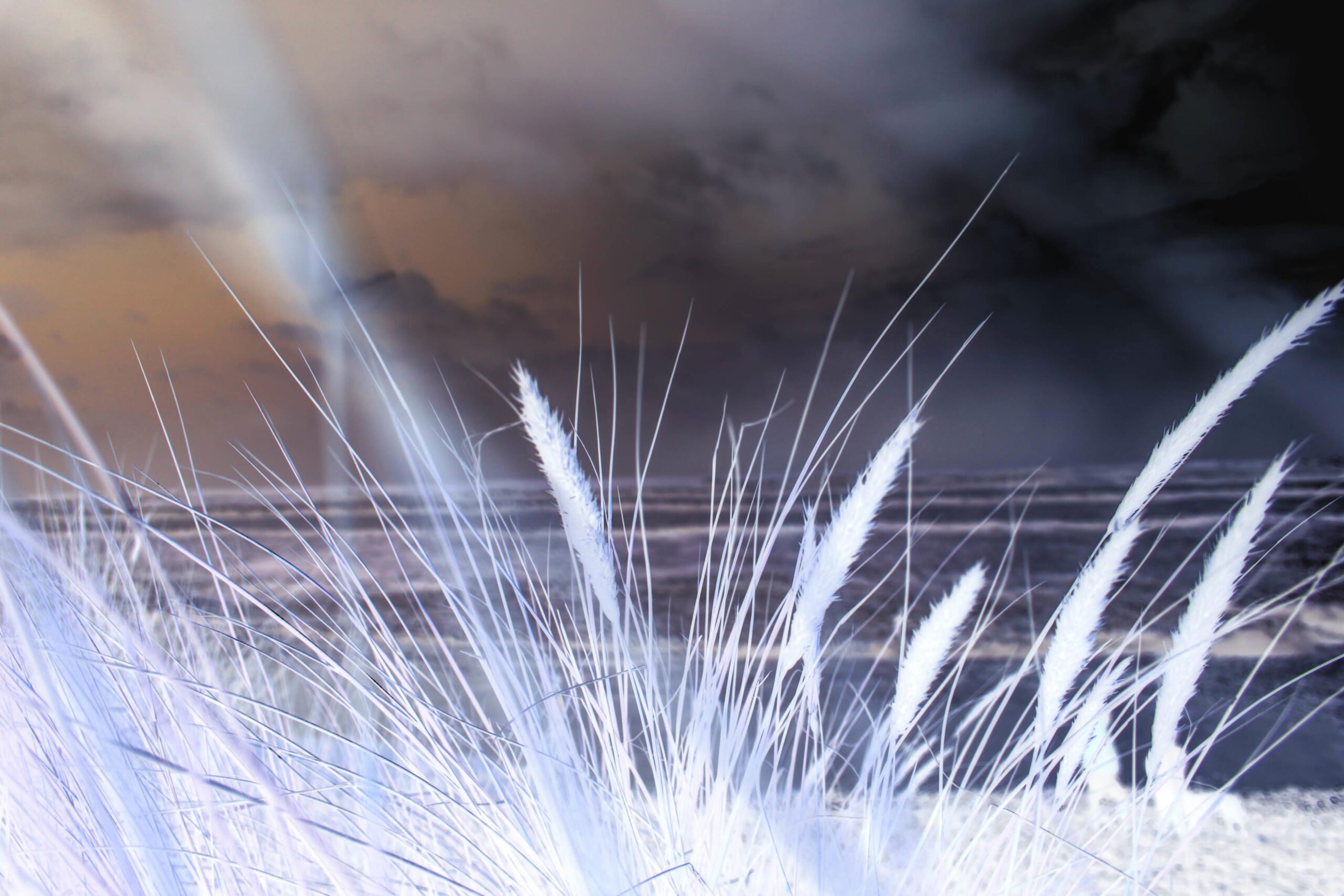 Jessica Louise Rogers