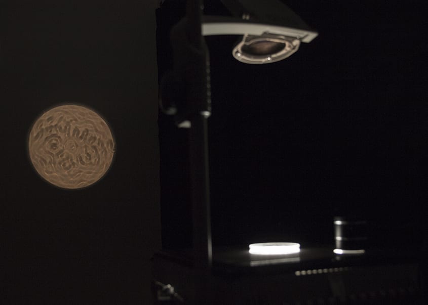 Paul O’Shaughnessy