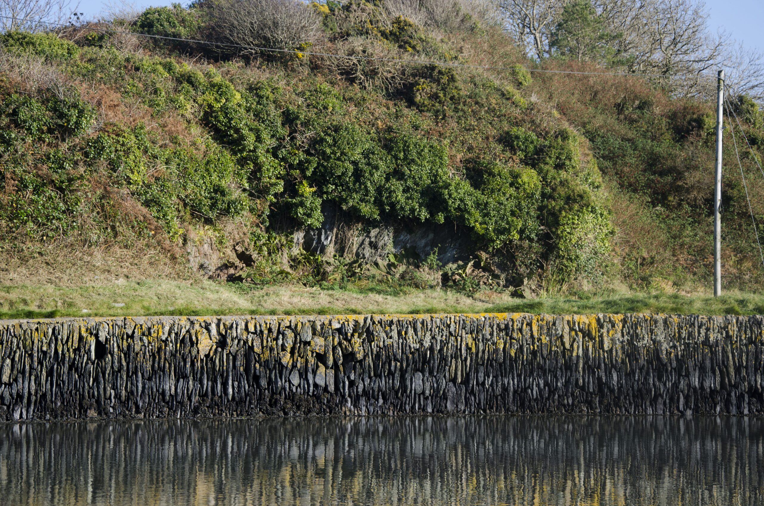 Sadhbh Villiers O’Callaghan