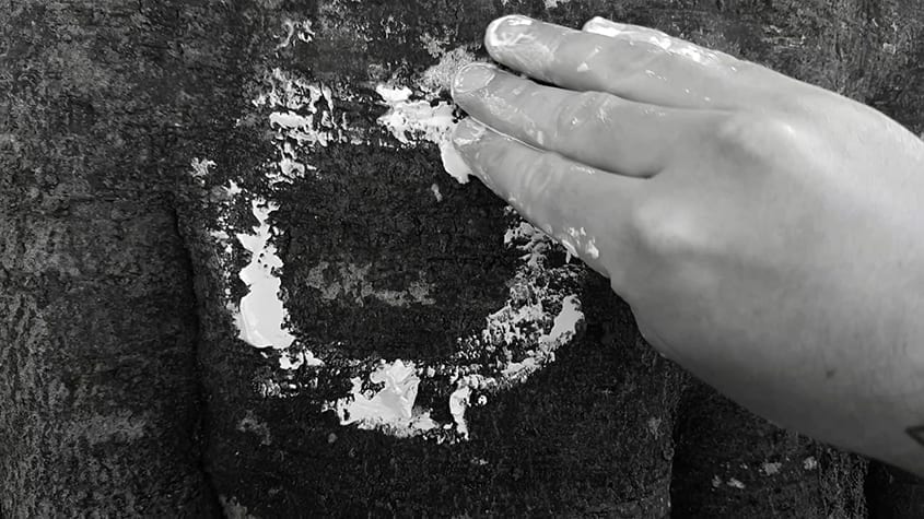 Gustav Olaf Avenstrup