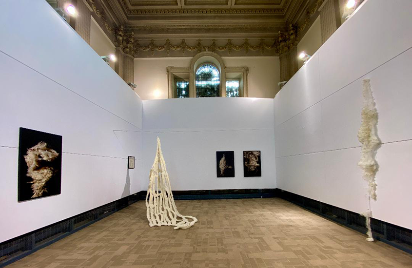 Michelle Hickey (Legge)